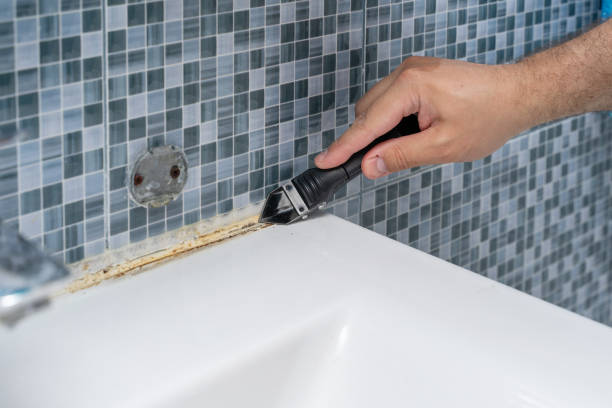 Best Emergency Mold Removal  in Alton, TX
